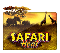 Safari Heat